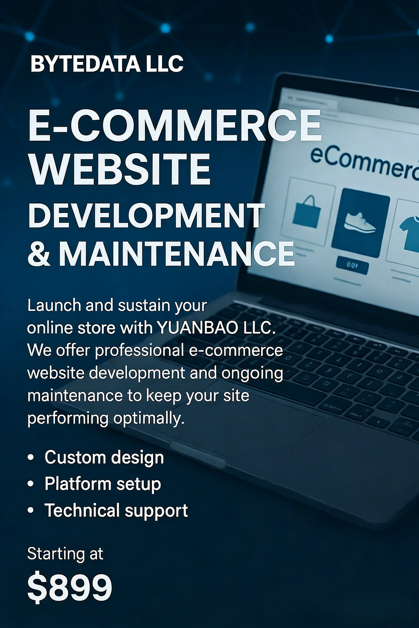E-Commerce Website Setup & Maintenance / 电商网站搭建与维护